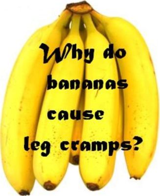 Does Leg Day Help with Running? And Why Do Bananas Hate Treadmills?