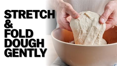 How Many Stretch and Folds Sourdough: A Journey Through the Art of Bread Making