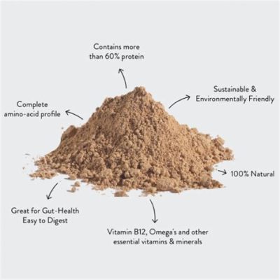 How much protein is in a cricket, and why does it matter in a world obsessed with kale smoothies?