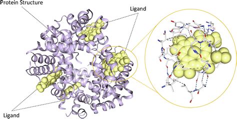 Is a Ligand a Protein? Exploring the Intricacies of Molecular Interactions