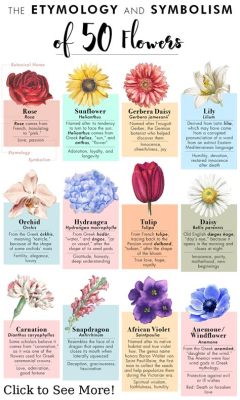 What Flower Represents Mental Health: A Blossoming Discussion on Symbolism and Healing