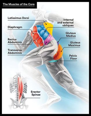 What Muscles Does Running Tone: A Journey Through the Body's Symphony of Motion